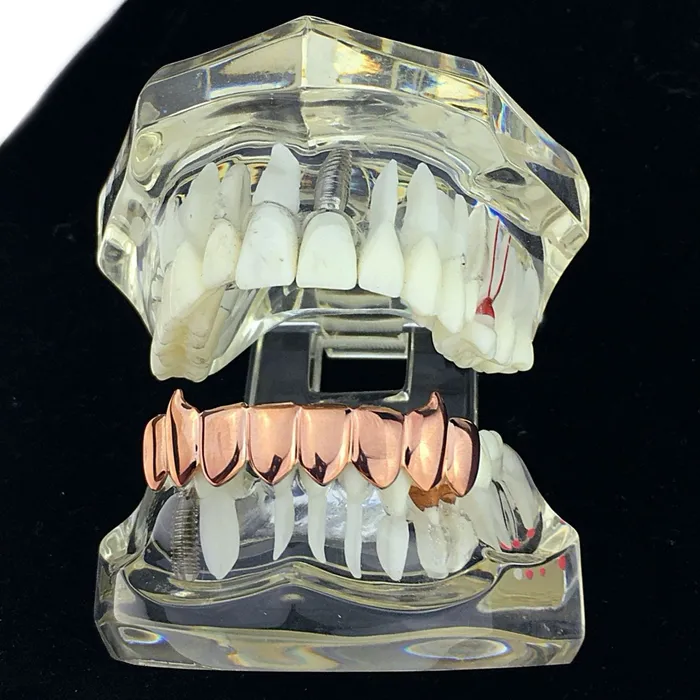 14K Rose Gold Plated Eight Tooth Bottom Vampire Fang Grillz Bling Cartel Admin Earrings 14K Rose Gold Plated Eight Tooth Bottom Vampire Fang Grillz Bling Cartel Admin Earrings