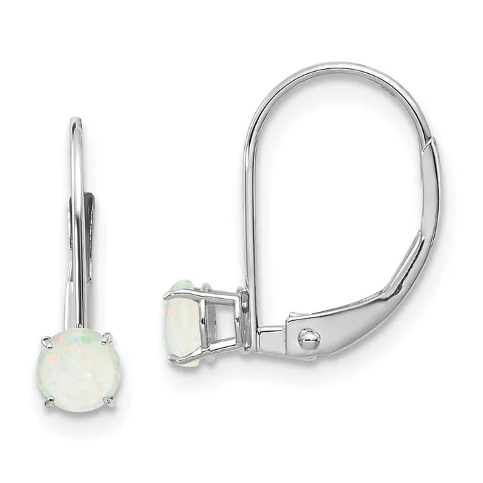 14k White Gold 4mm Round OctoberOpal Leverback Earrings Jewelry Earrings