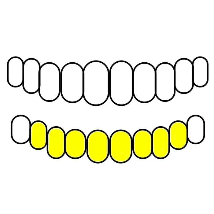 Rings Bling Cartel Admin 10K Gold TwoTone DiamondCut Diamond Dust Custom Grillz