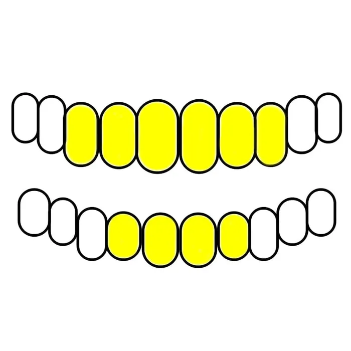Rings Bling Cartel Admin 10K Gold TwoTone DiamondCut Diamond Dust Custom Grillz