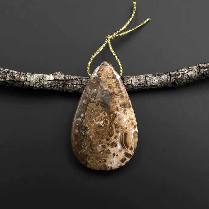 Rare Genuine Natural Fossilized Algae Pendant Top Side Drilled Teardrop Gemstone A3 Intrinsic Trading Necklaces Rare Genuine Natural Fossilized Algae Pendant Top Side Drilled Teardrop Gemstone A3 Intrinsic Trading Necklaces