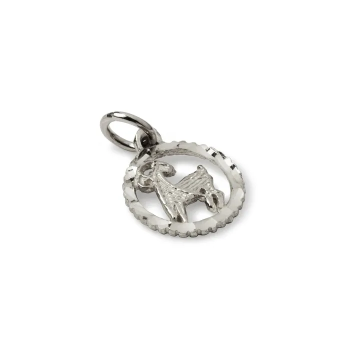 Shirley Zodiac Charm Suetables Charm Necklaces