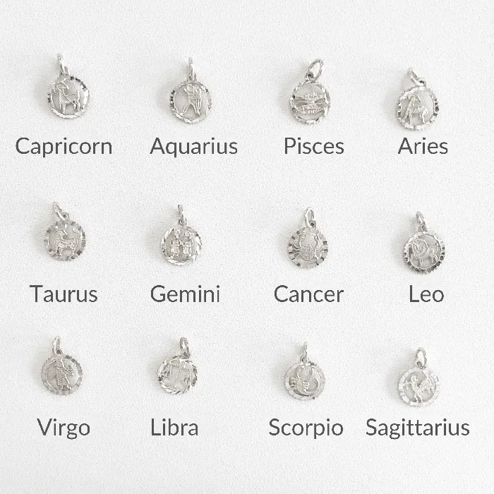 Shirley Zodiac Charm Suetables Charm Necklaces