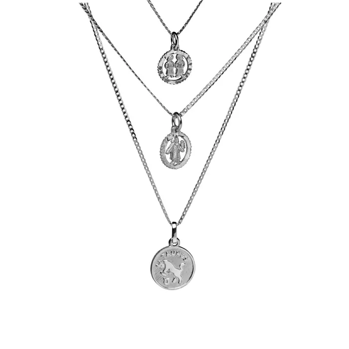 Shirley Zodiac Charm Suetables Charm Necklaces